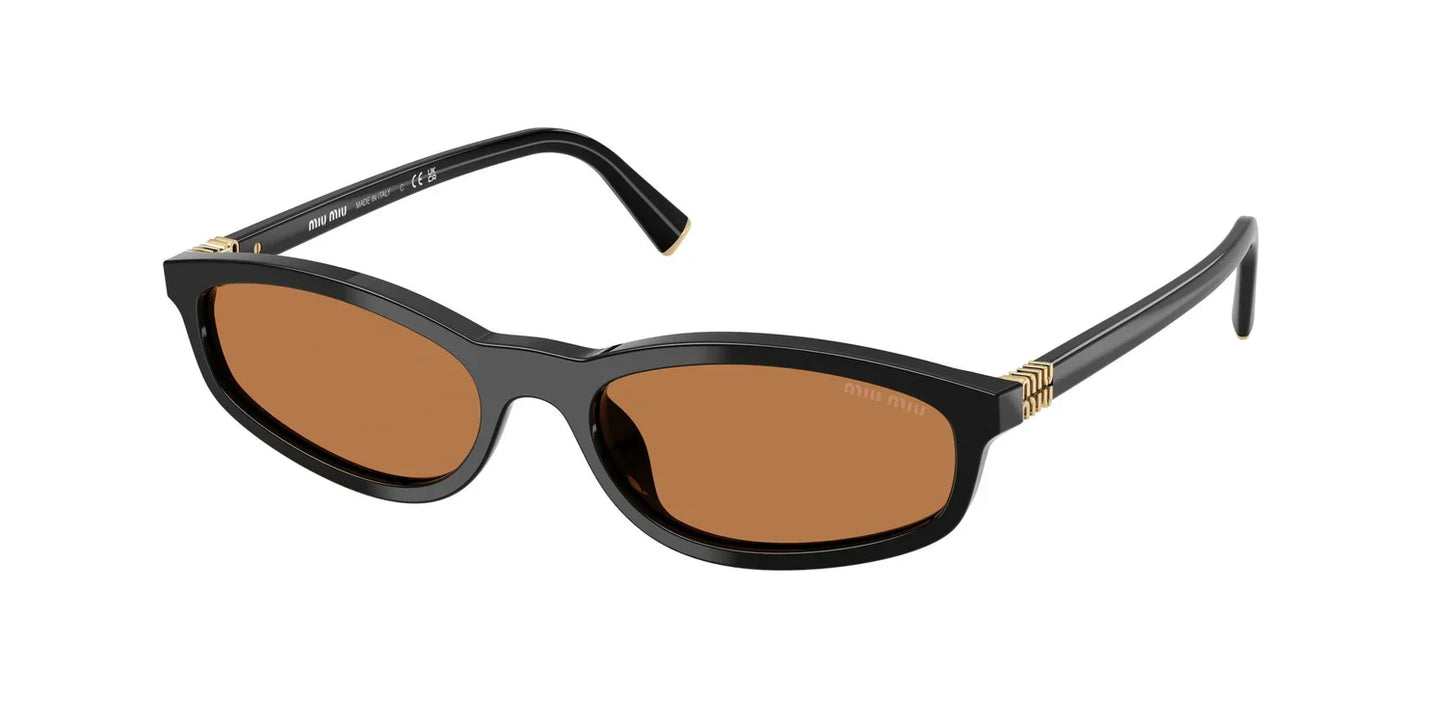 A06S Sunglasses