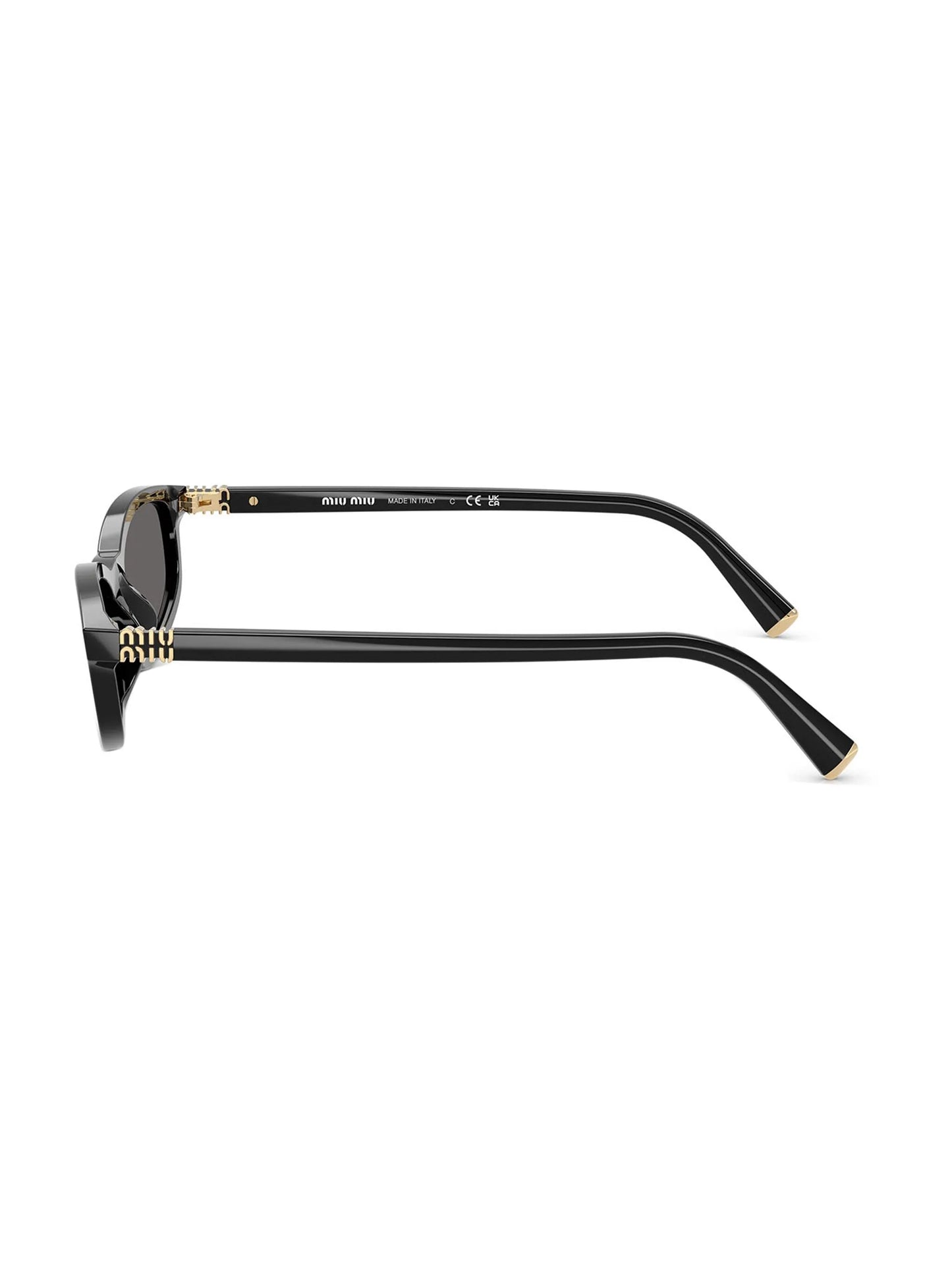 A06S Sunglasses