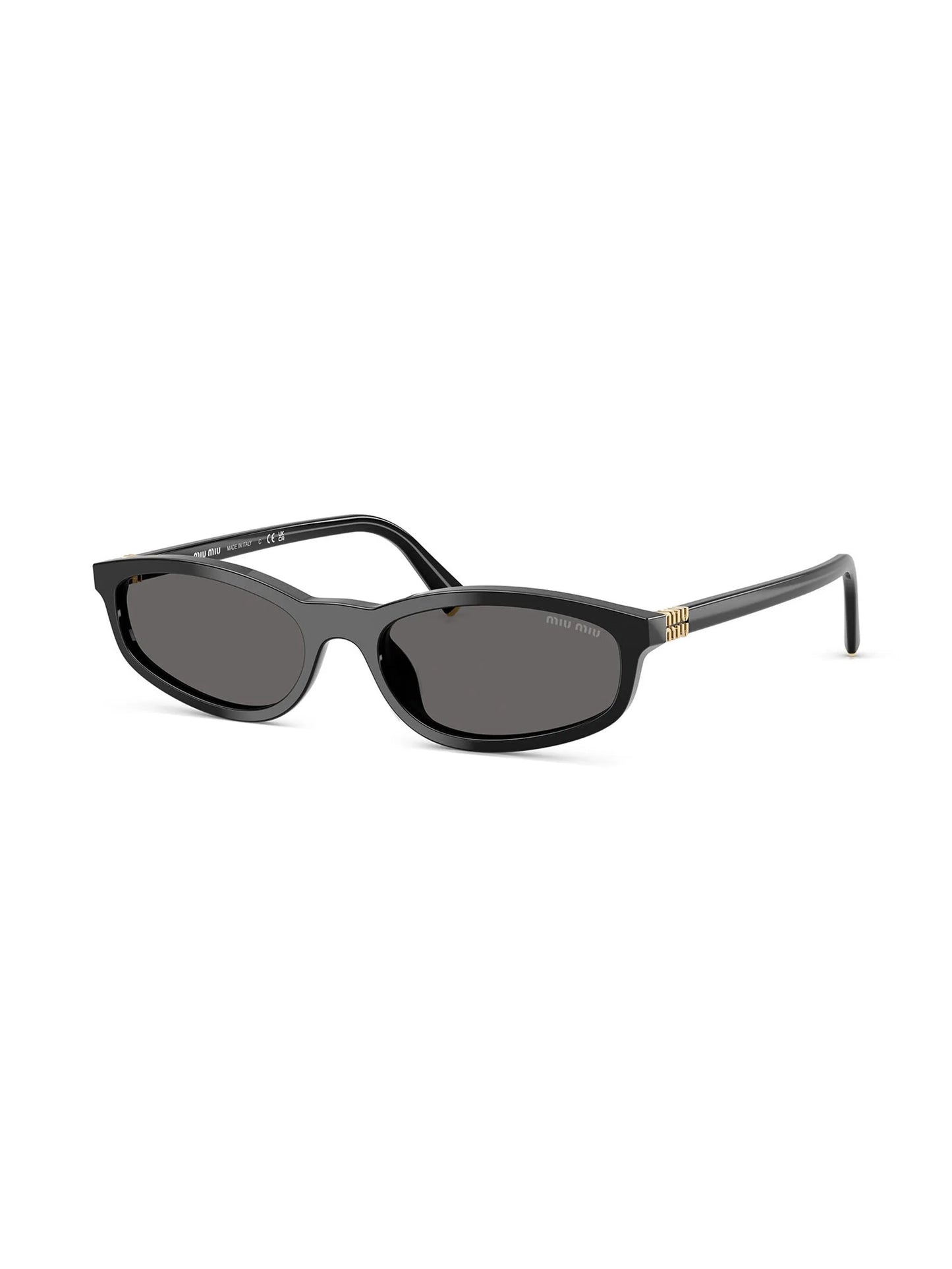 A06S Sunglasses